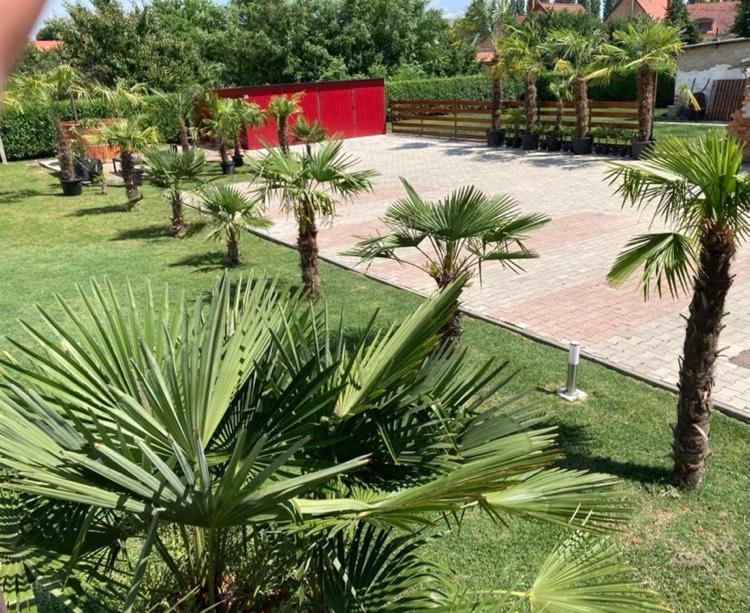 Roze Vendeghaz Hotel วิลานี ภายนอก รูปภาพ